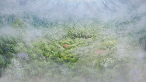 ancb00378