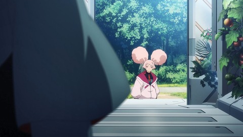ANCB001135