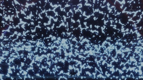 ANCB002590