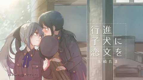 ANCB001559
