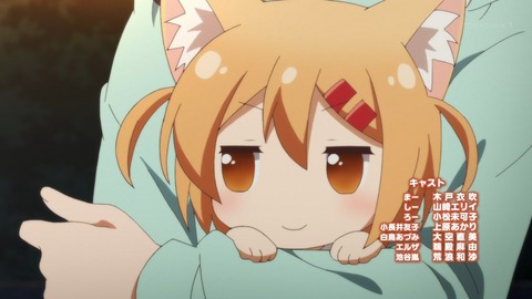 にゃんこデイズ 12話 感想 最終回 315