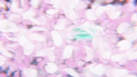 ANCB001855