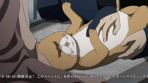 ancb00199
