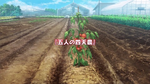 ancb01666