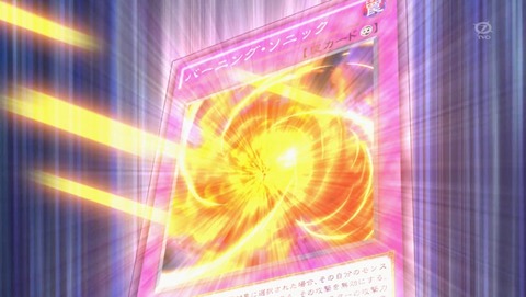 ANCB004037