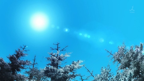 ancb02060
