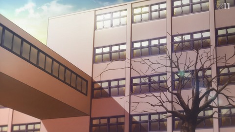 ANCB002427