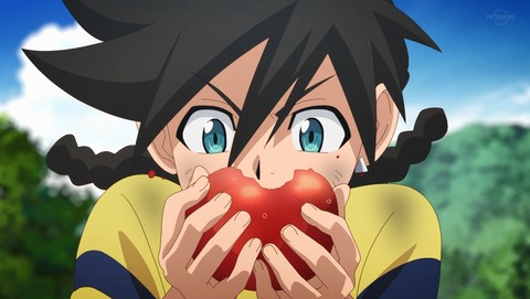 ANCB001295