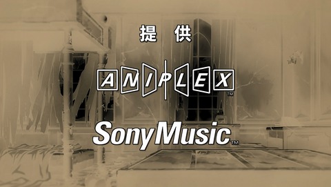 ANCB003509
