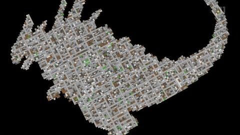 ANCB002081