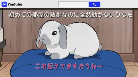 ancb04444