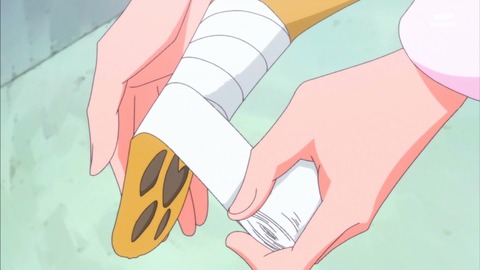 ハピネスチャージプリキュア 感想 924