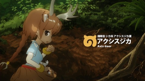 ancb02333