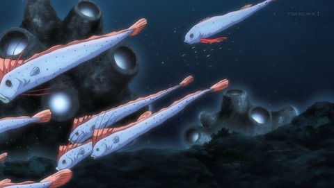 ANCB001267