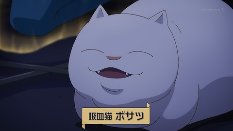 ancb00298