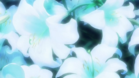 ancb00421
