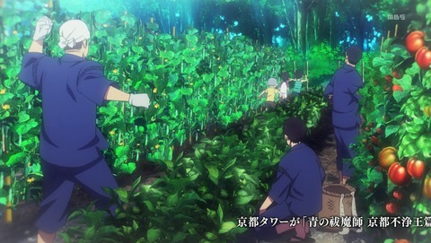 ANCB004331