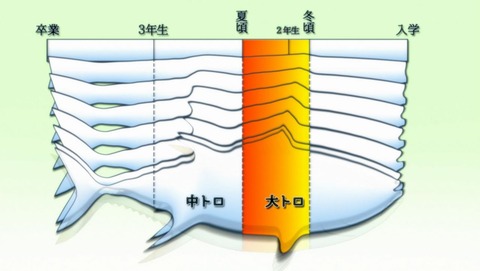 ancb00187