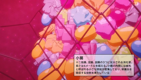 ANCB002235