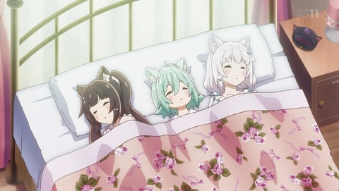 ネコぱら 11話 感想 95