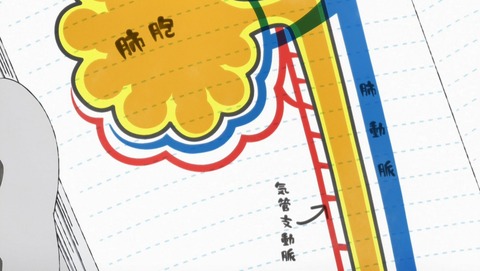 ANCB002641