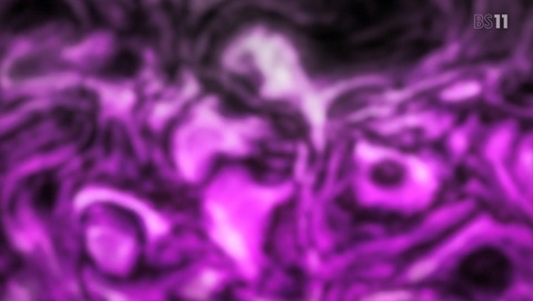 ANCB002288