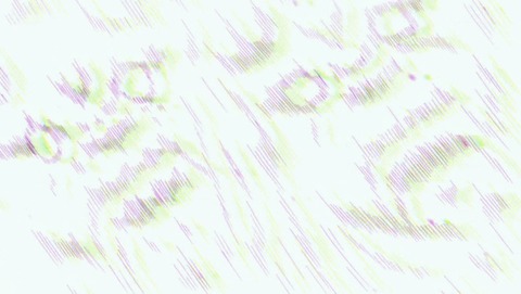 ANCB006124
