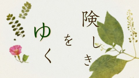 ANCB000264