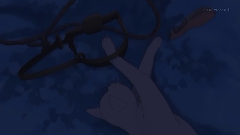 ancb00441