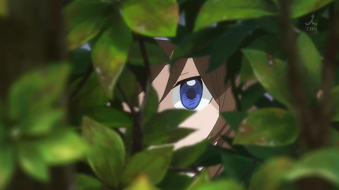 ancb00313