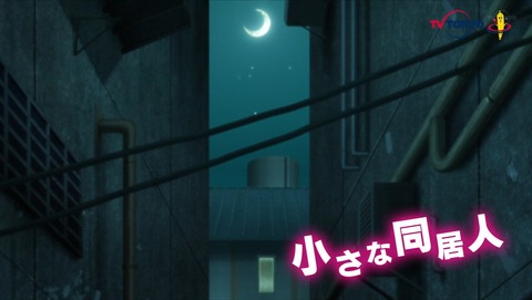 ancb00594