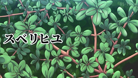 ANCB002218