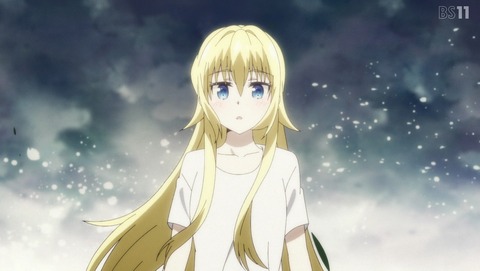 戦翼のシグルドリーヴァ 11話 感想 38