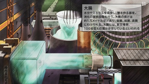 はたらく細胞!! 2期 6話 感想 54