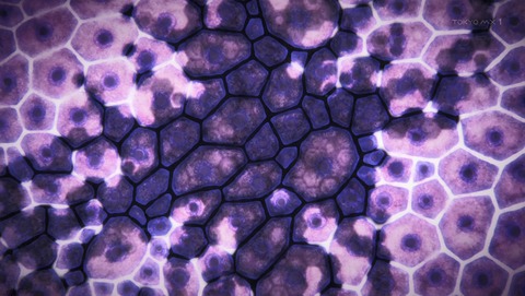ANCB001169