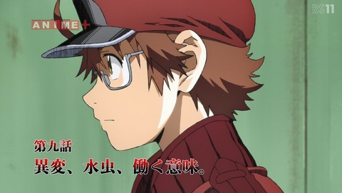 はたらく細胞black 第9話 感想 働け 働け あにこ便