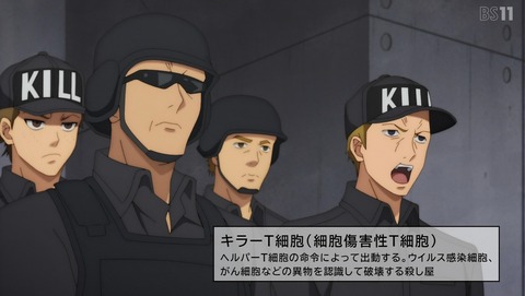 ANCB000719