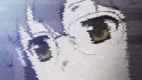 ancb03827