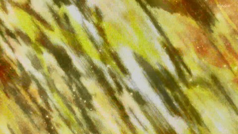 ANCB003113