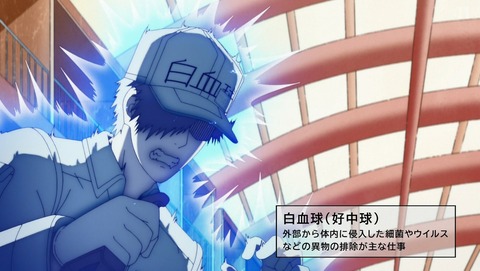 はたらく細胞 アニメ 3話 はたらく細胞 アニメ 無料 3話 Freepnggejpnnqq はたらく細胞 アニメ 3話 はたらく細胞 アニメ 無料 3話 Freepnggejpnnqq