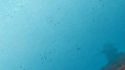 ancb001060