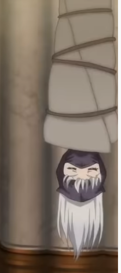 ninja