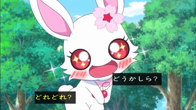 レディジュエルペット 14話 感想 233