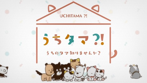 うちタマ?! うちのタマ知りませんか? 1話 感想 51