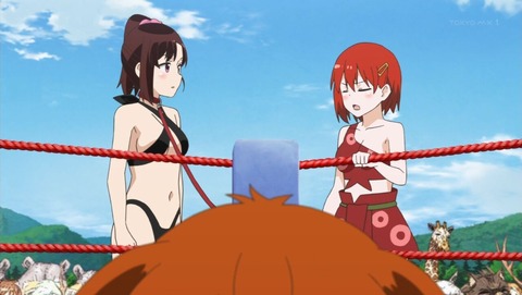 群れなせ!シートン学園 12話 感想 0138