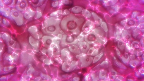 ancb000957
