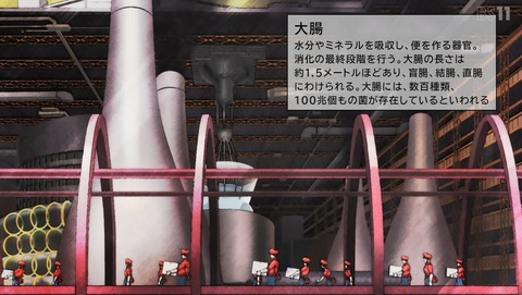 はたらく細胞!! 2期 6話 感想 84