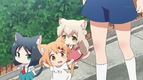 ancb00098