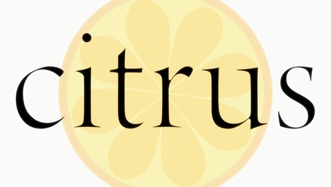 citrus 7話 感想 03