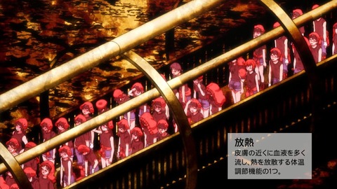 ancb00704